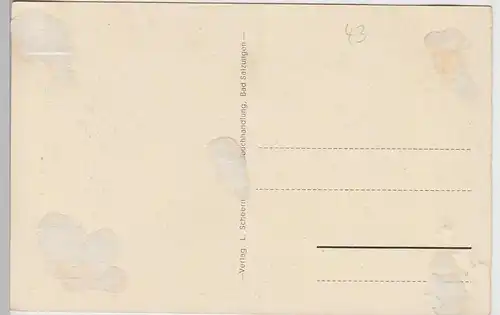 (105824) AK Bad Salzungen, Burgsee mit Felsen und Kirche, vor 1945