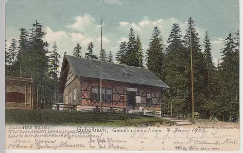 (105134) AK Gabelbach, Gabelbachhäuschen, Ilmenau 1903