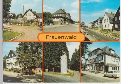 (102374) AK Frauenwald, Mehrbildkarte 1989