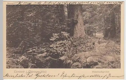 (10167) AK Tambach im Thüringer Wald, Wedelbachsgraben 1913