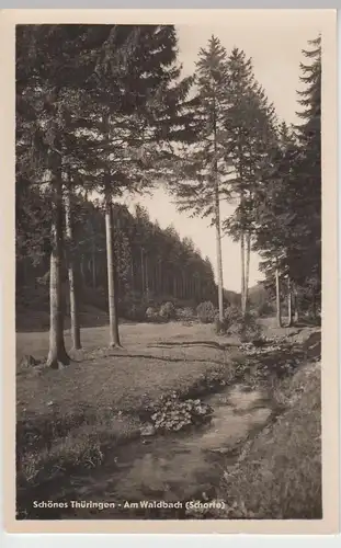 (100654) Foto AK Partie an der Schorte (Thüringen, Am Waldbach, 1954