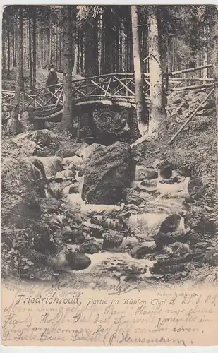 (100648) AK Friedrichroda, Partie im kühlen Tal, 1903