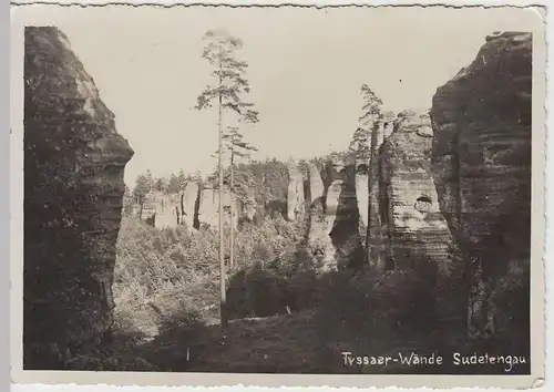 (45053) Foto AK Tyssaer Wände, Tiské steny, 1942