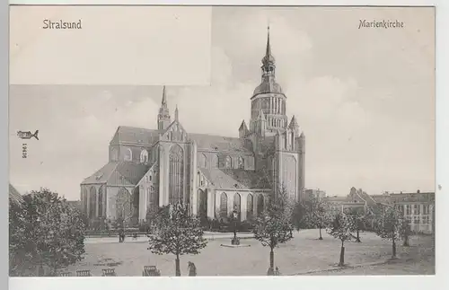 (73606) AK Stralsund, Marienkirche, bis um 1905