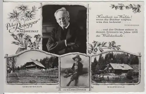 (13627) Foto AK Alpl, Krieglach, Peter Rosegger Waldschule, nach 1945