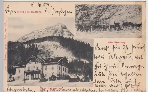 (113503) AK Gruß aus Radmer, Jagdschloss, Wildfütterung 1904