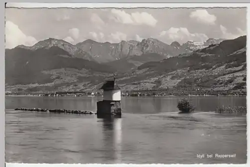 (14619) Foto AK Rapperswil-Jona, St. Gallen, Zürichsee, nach 1945