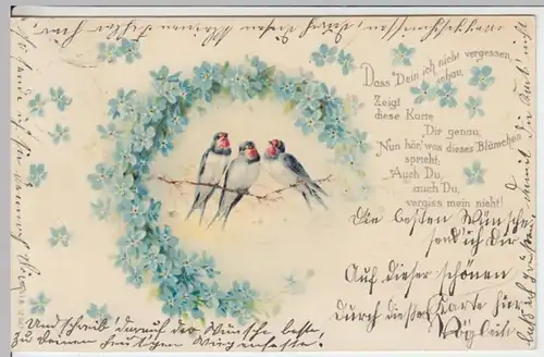(17358) AK Spruch "Dass dein ich nicht vergessen, schau?", Schwalben, 1904