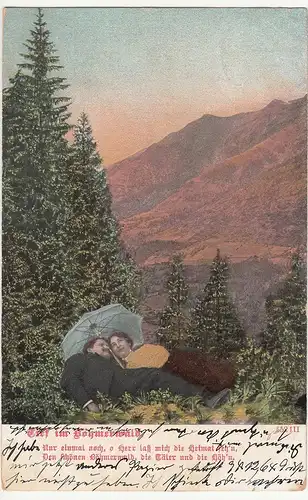 (114333) AK Tief im Böhmerwald, Nur einmal noch o Herr lass mich, 1905