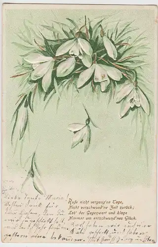 (103668) Künstler AK Spruch, Rufe nicht vergangne Tage, Schneeglöckchen, Prägeka
