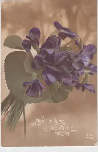 (100570) Foto AK Mon Meilleur Souvenir, Veilchenstrauß, vor 1945