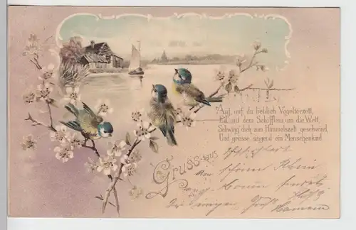 (100244) Künstler AK Gruß aus, Auf, auf du lieblich Vogelterzett 1900