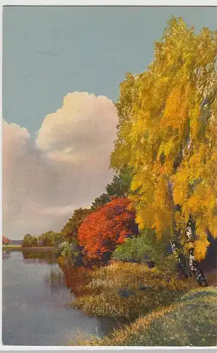 (98552) AK Herbstbäume am See, vor 1945