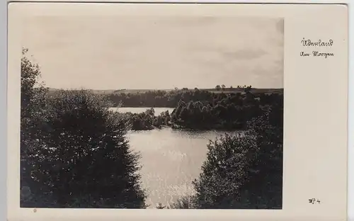 (97626) Foto AK Üderland am Morgen, Wasser, Bäume, vor 1945