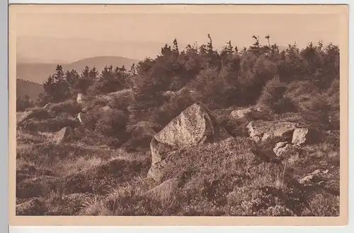 (97091) AK Landschaft -Auf felsiger Höh- 1918