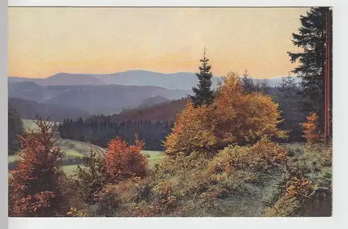(97085) AK Landschaft mit Herbstbäume, vor 1945
