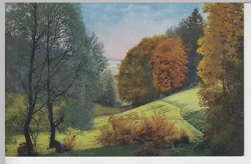 (97084) AK Landschaft mit Herbstbäume, vor 1945