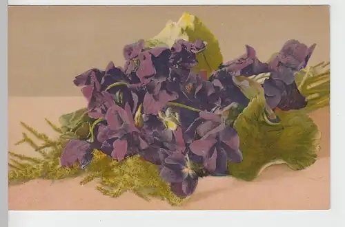 (97076) AK Blumen, Veilchen vor 1945