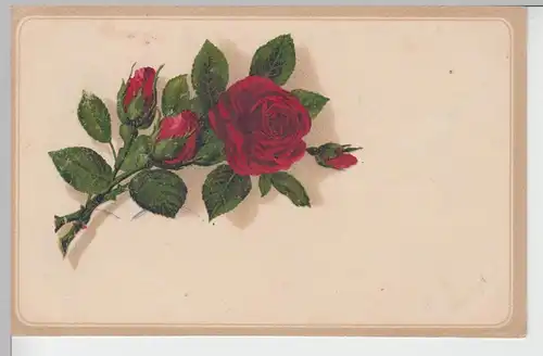 (97075) AK Blumen, einzelne Rose, 1917