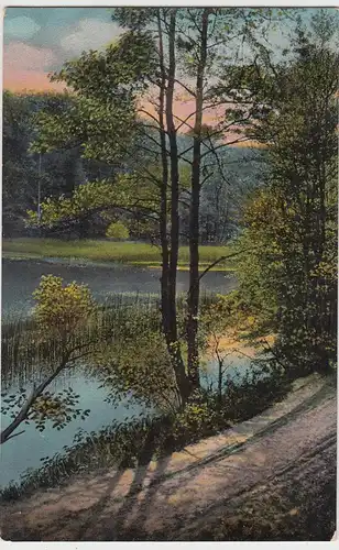 (96087) AK Weg am Wasser, Bäume 1917