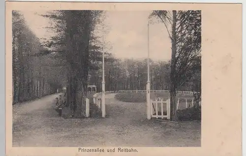 (95022) AK Prinzenallee, Reitbahn, Ort unbekannt, vor 1945