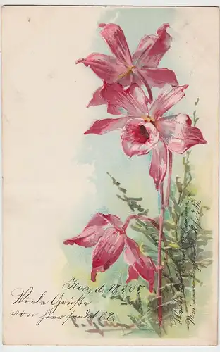 (94020) Künstler AK Orchidee, Prägekarte 1905