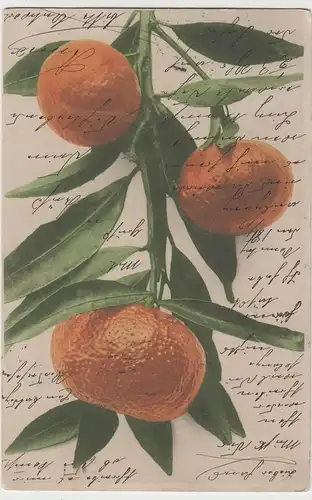 (80238) AK Mandarinen, 1904