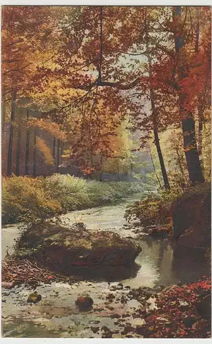 (80222) AK Herbstwald am Bach, vor 1945