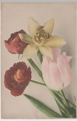 (80156) AK Blumen, verschiedene 1905