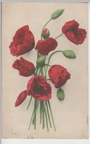 (69627) AK Klatschmohn 1922