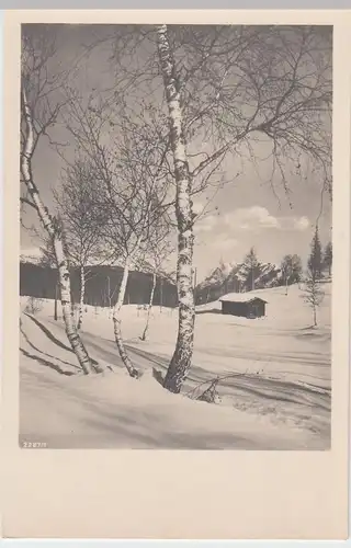 (52007) Foto AK Winterlandschaft