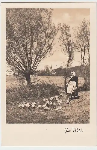 (51996) Foto AK Zur Weide, vor 1945