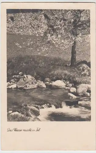 (51995) Foto AK Das Wasser rauscht zu Tal, 1942