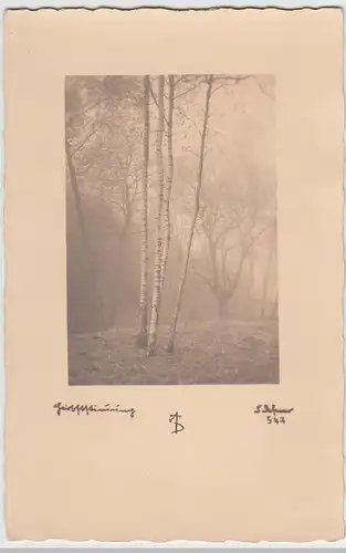 (51993) Foto AK Herbststimmung, vor 1945