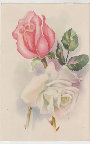 (50587) Künstler AK Rosen, vor 1945