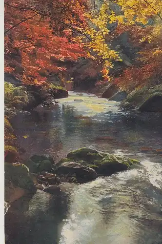 (108221) AK Bach, Bachlauf im Herbst, vor 1945