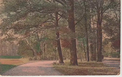(108018) AK Park, Bank unter Laubbäumen, vor 1945