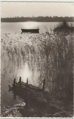(106054) Foto AK am See, Boot, Steg, Schilf, DDR 1964