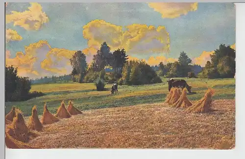 (101681) AK Landschaft, Feld mit Getreidegarben, vor 1945