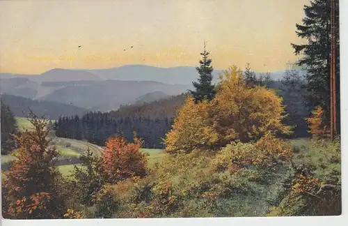 (100304) AK Herbstwald, Berge, vor 1945