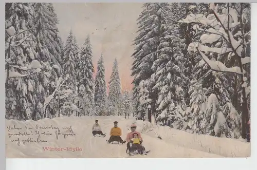 (100303) AK Winter Idylle, Schlittenpartie, Wald 1910