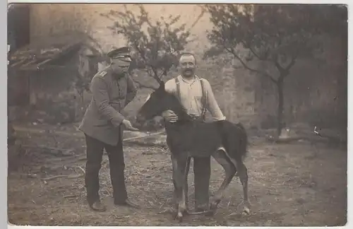 (89575) Foto AK 1.WK Soldaten mit Fohlen, Feldpost Frankreich 1915