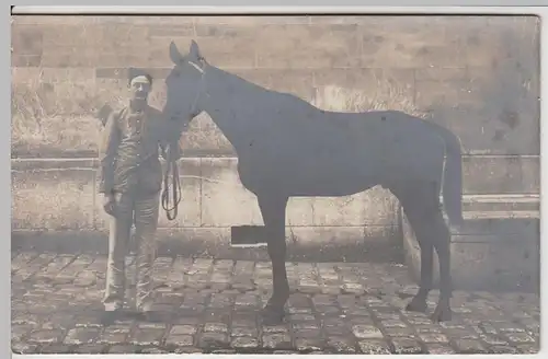 (57430) orig. Foto 1. WK, franz. Soldat mit Pferd 1914