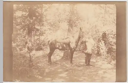 (50025) Foto AK 1.WK Soldat mit Pferd im Wald, 1914-18
