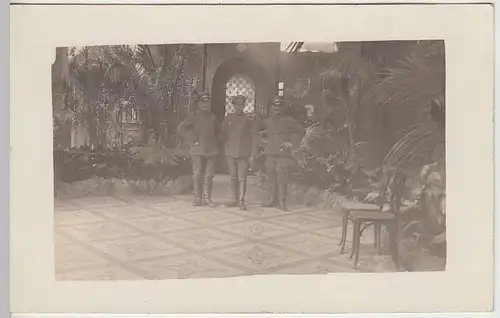 (37424) Foto AK 1.WK Soldaten in einem Palmengarten, 1914-18