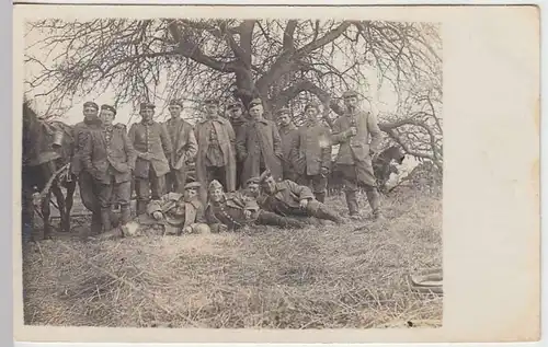 (35762) Foto AK 1.WK Soldaten mit Pferden im Wald, 1914-18