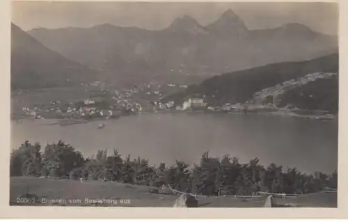 (768) Foto AK Brunnen, Schwyz, Panorama, Vierwaldstättersee