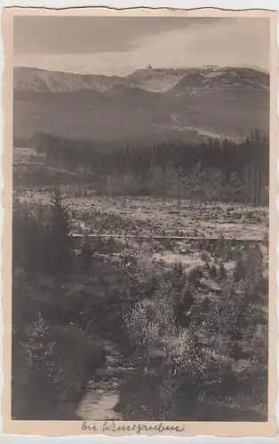 (98930) Foto AK Schneegruben, Sniezne Kotly, vor 1945