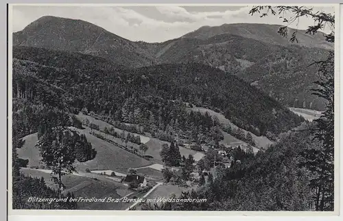 (98275) AK Blitzengrund (Lugowina) bei Friedland, Waldsanatorium, vor 1945