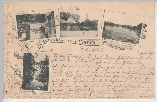 (90516) AK Cudowa, Kudowa, Mehrbildkarte 1899